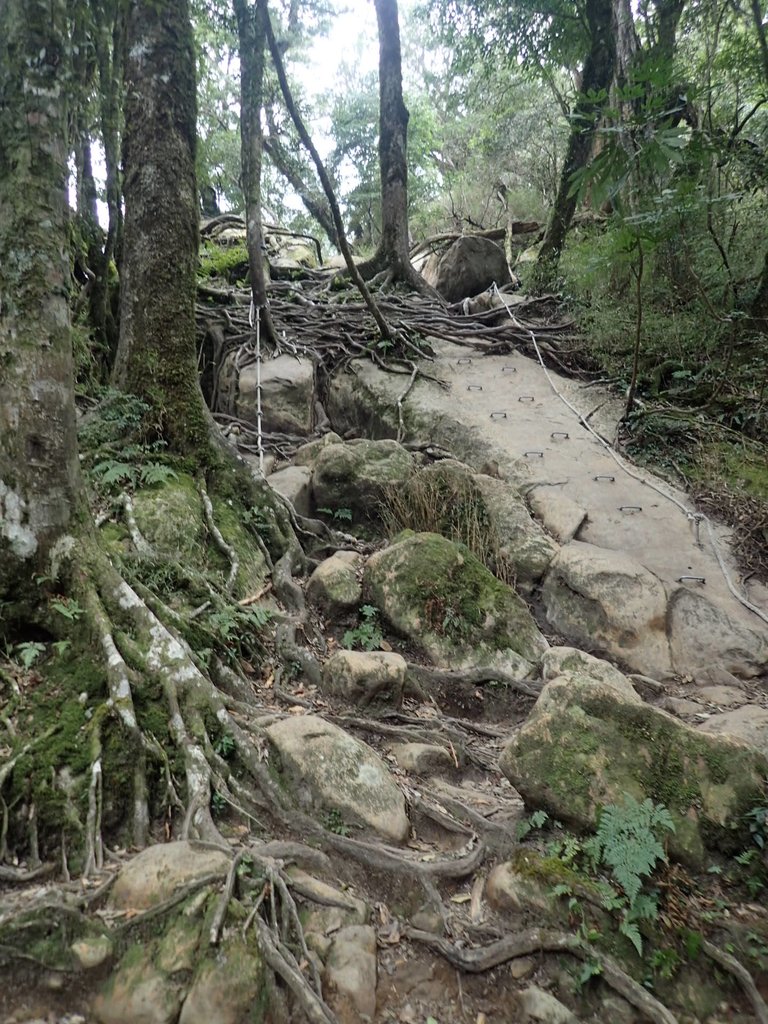 P2034937.JPG - 南庄  加里山