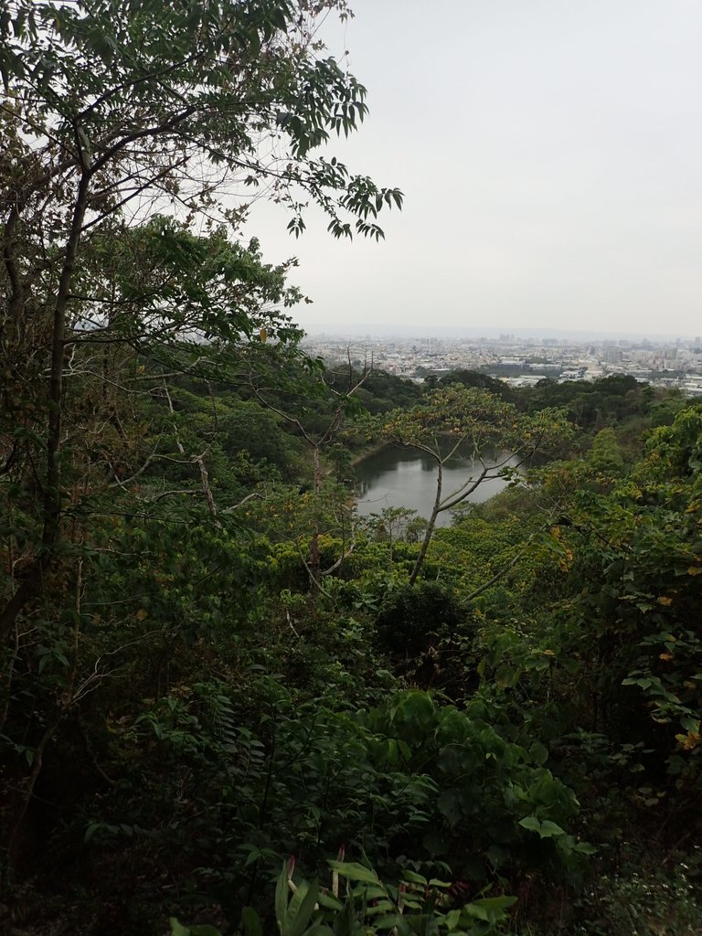 P2095041.JPG - 太平  三汀山  (望高寮)