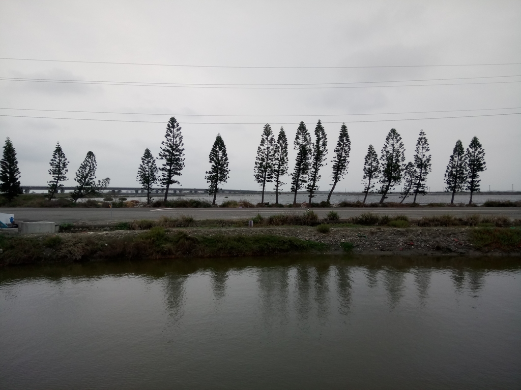 DSC_2666.JPG - 七股  西寮  陳家古厝