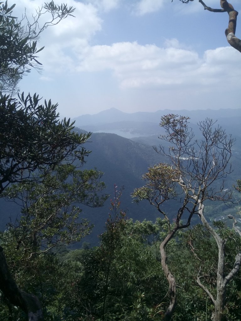 DSC_4080.JPG - 魚池  大尖山登山步道