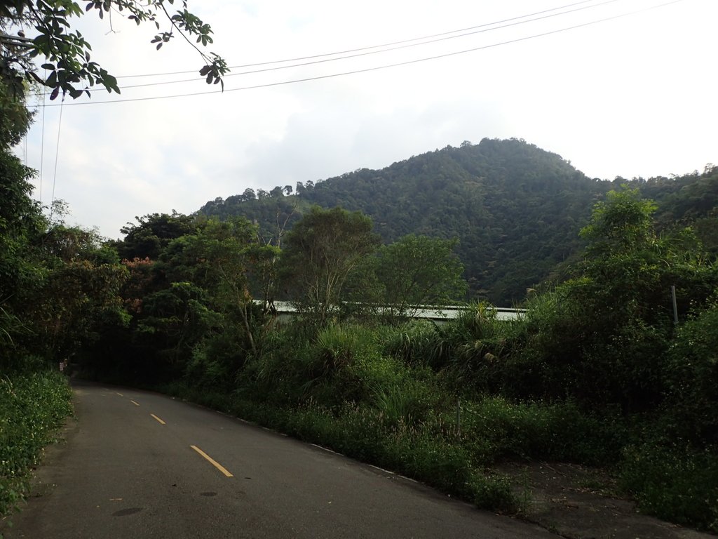 PA040510.JPG - 魚池  大尖山  鹽土坑林道