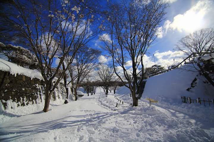 IMG_802569955641052.jpeg - 函館  五稜郭雪景