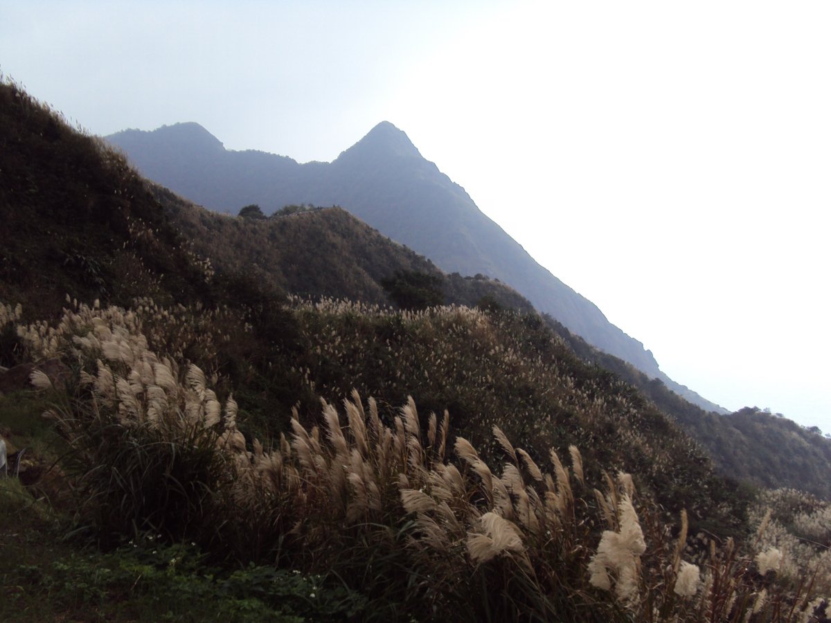 DSC03269.JPG - 無耳茶壺山產業道路