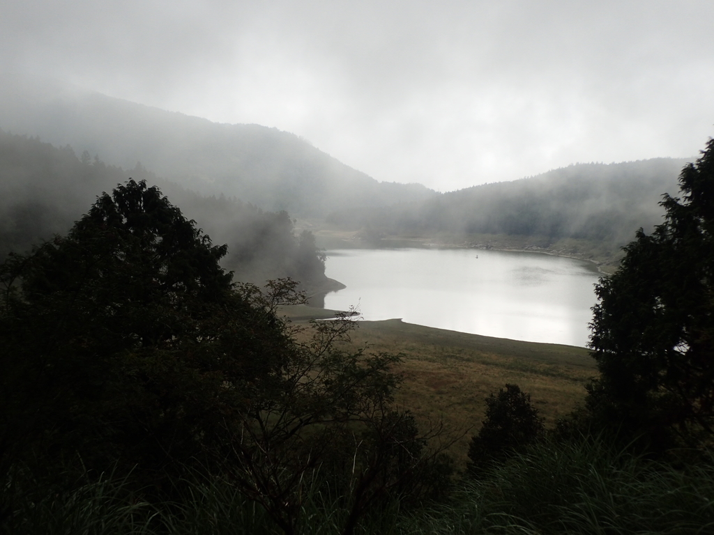 P8226864.JPG - 太平山  翠峰湖