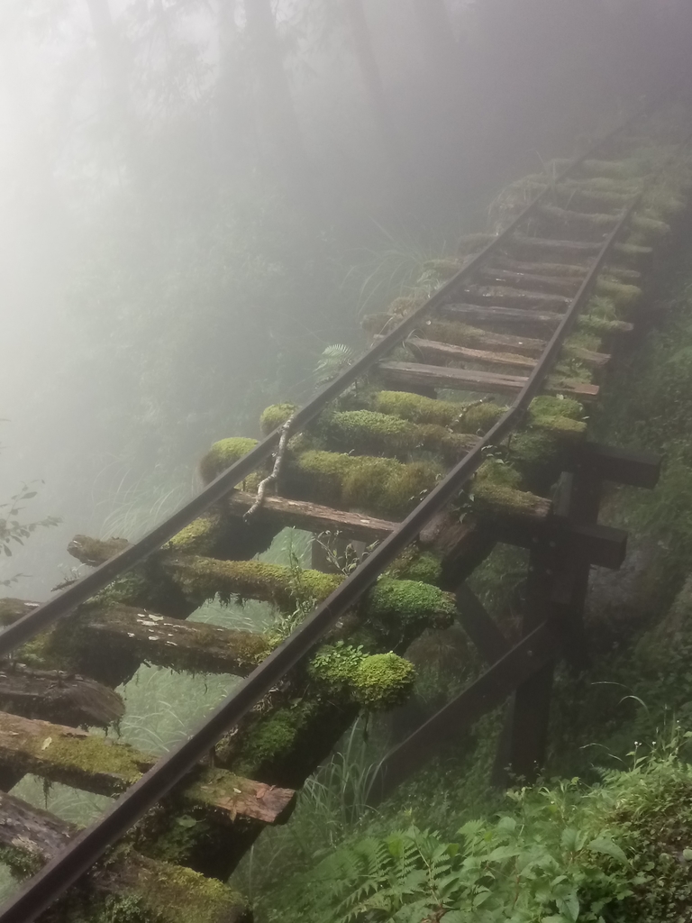 DSC_5622.JPG - 太平山 見晴懷古步道