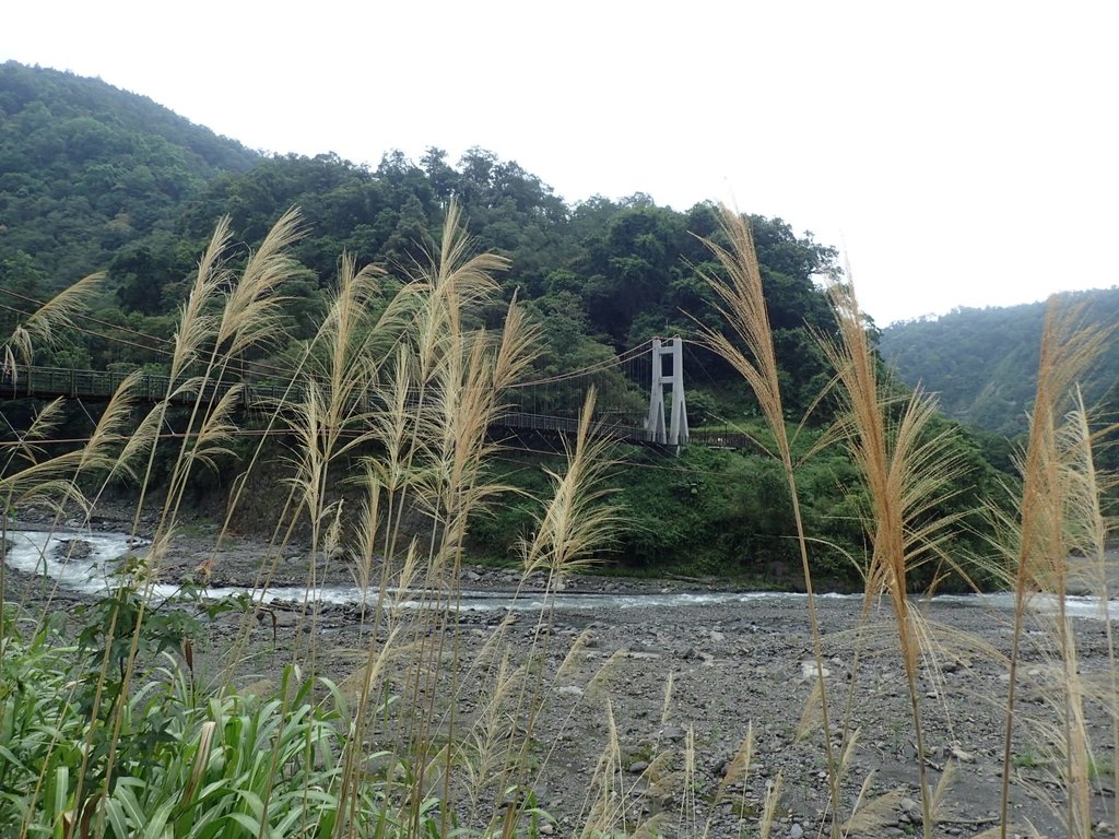 P8226897.JPG - 太平山  鳩之澤溫泉