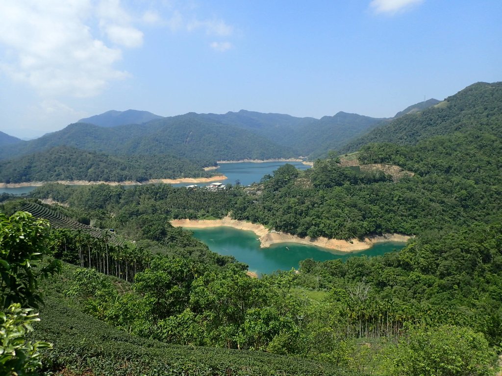 再訪  石碇  千島湖  八卦茶園