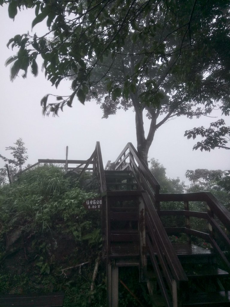 DSC_1738.JPG - 土城  天上山  登山步道