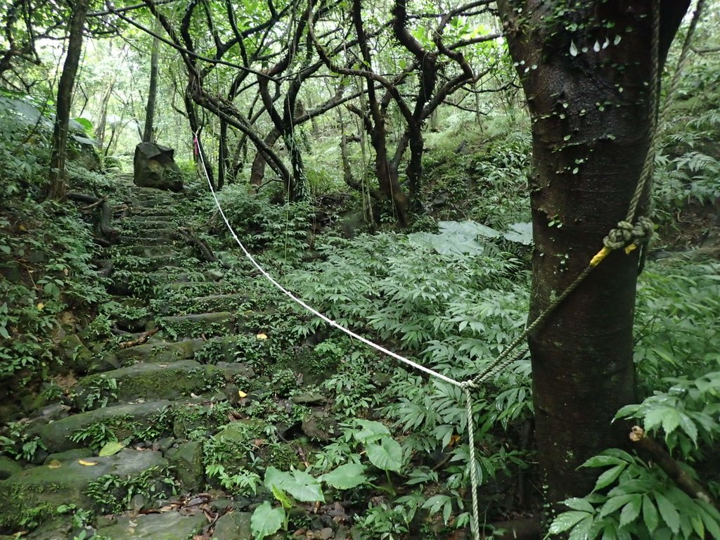 P1274362.JPG - 瑞芳  燦光寮古道初探