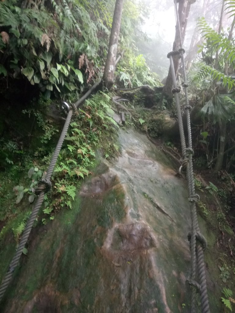 DSC_6250.JPG - 三峽  白雞山登山步道