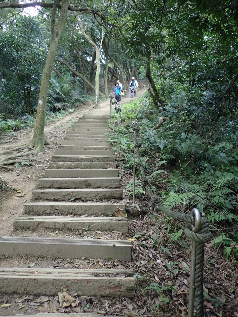 P2168003.JPG - 三峽  鳶尾山登山步道