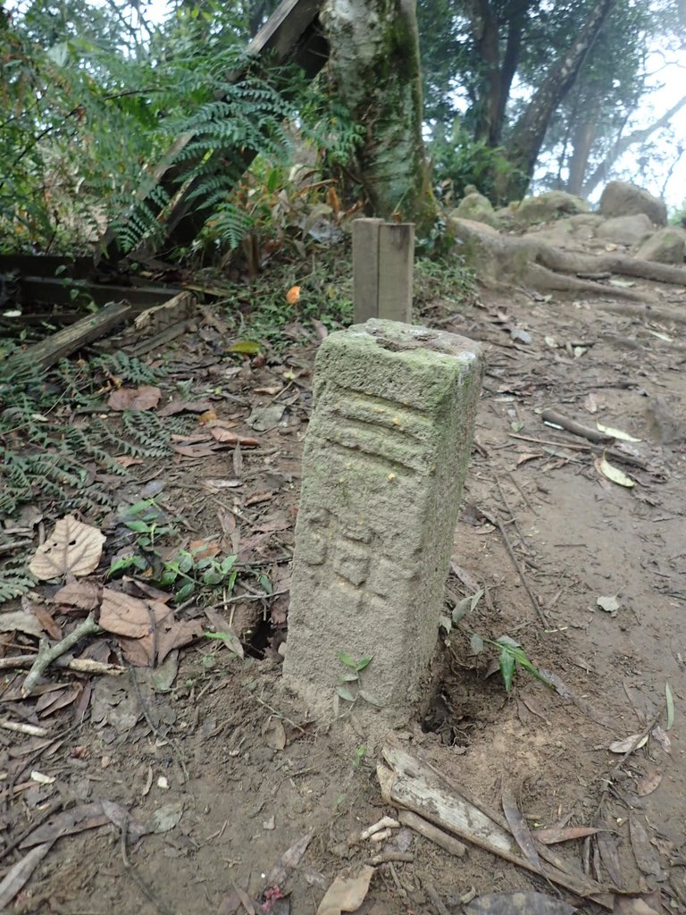 P2107525.JPG - 大溪  溪洲山登山步道