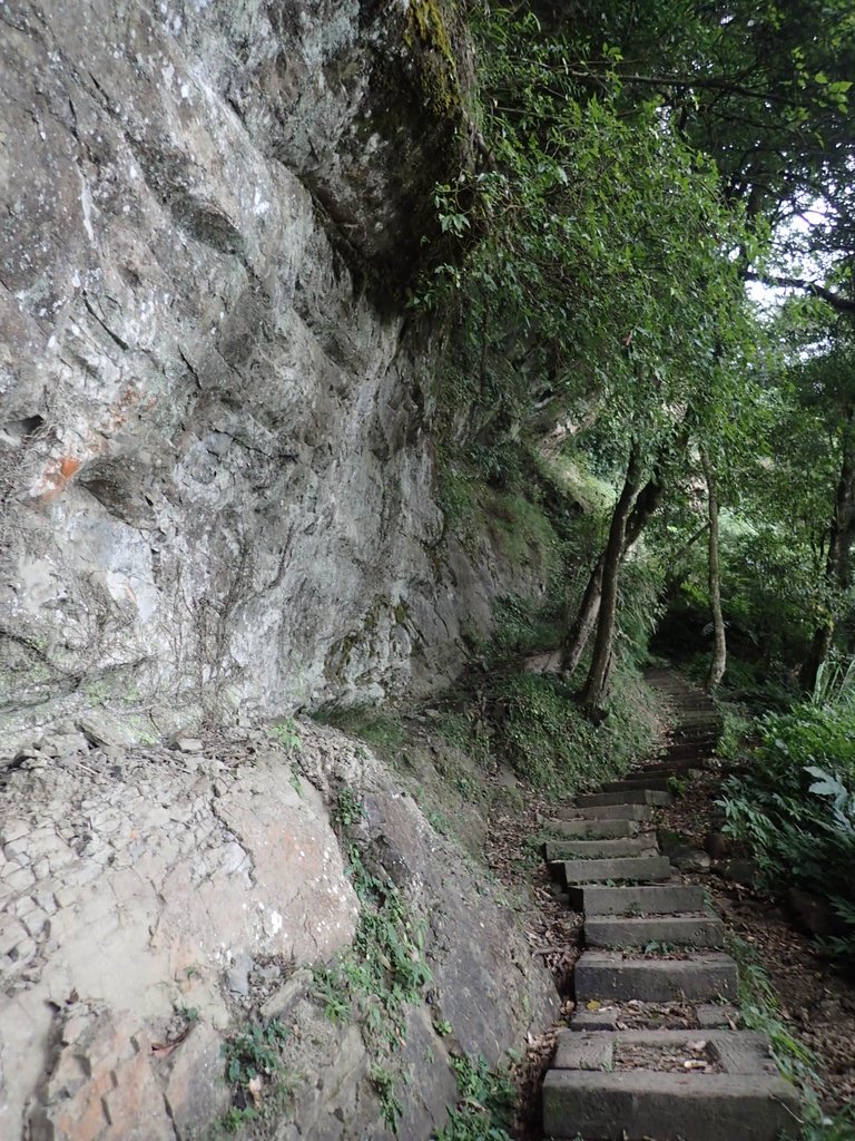 PA231748.JPG - 石壁山  嘉南雲峰步道