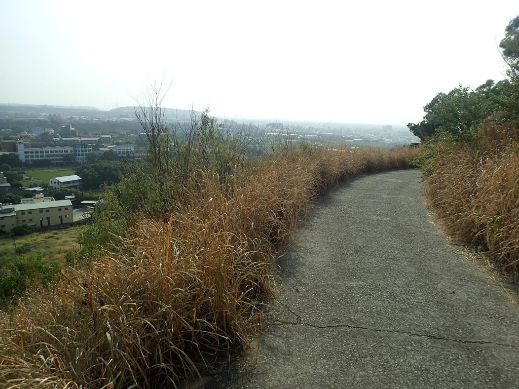 PA160950.JPG - 大甲  鐵砧山大草原