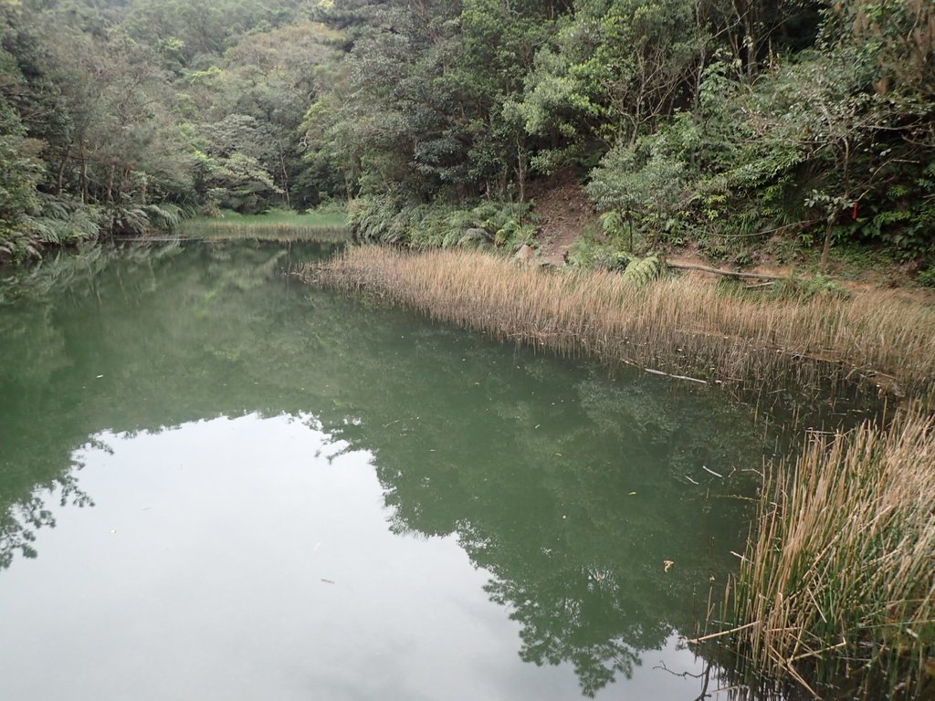 P3160121.JPG - 汐止  柯子林山  如意湖