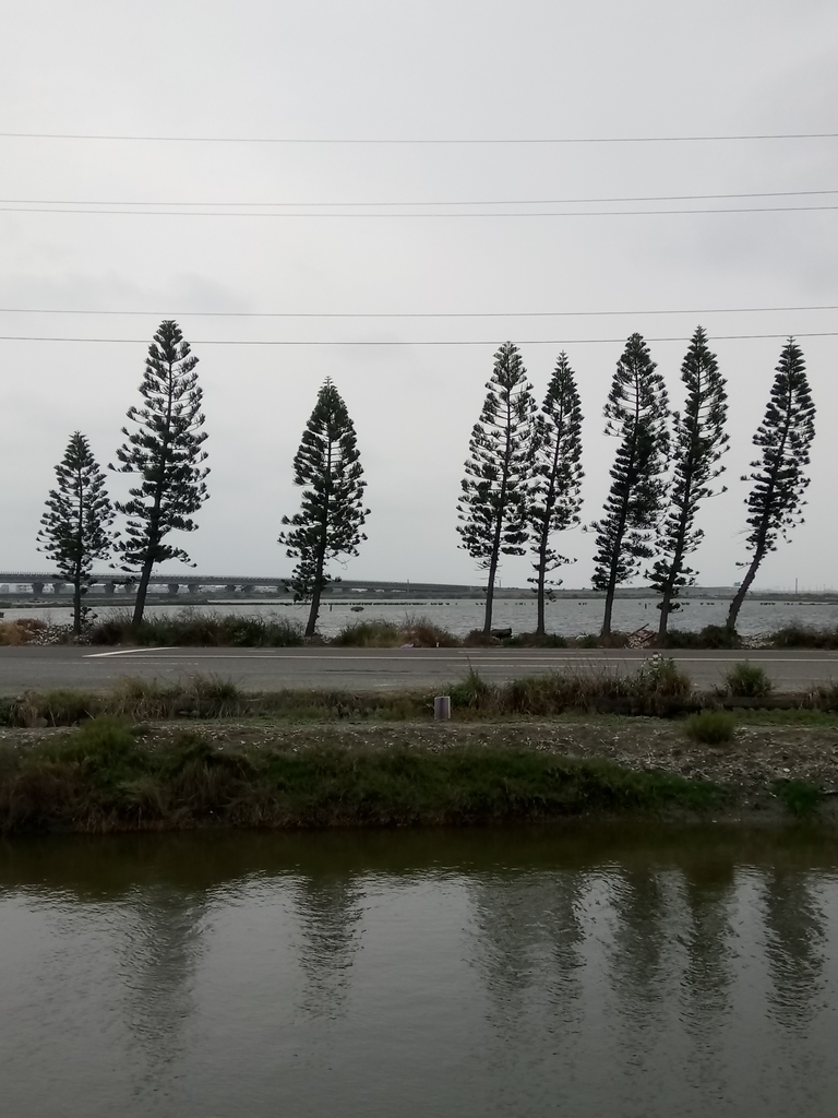 DSC_2667.JPG - 七股  西寮  陳家古厝