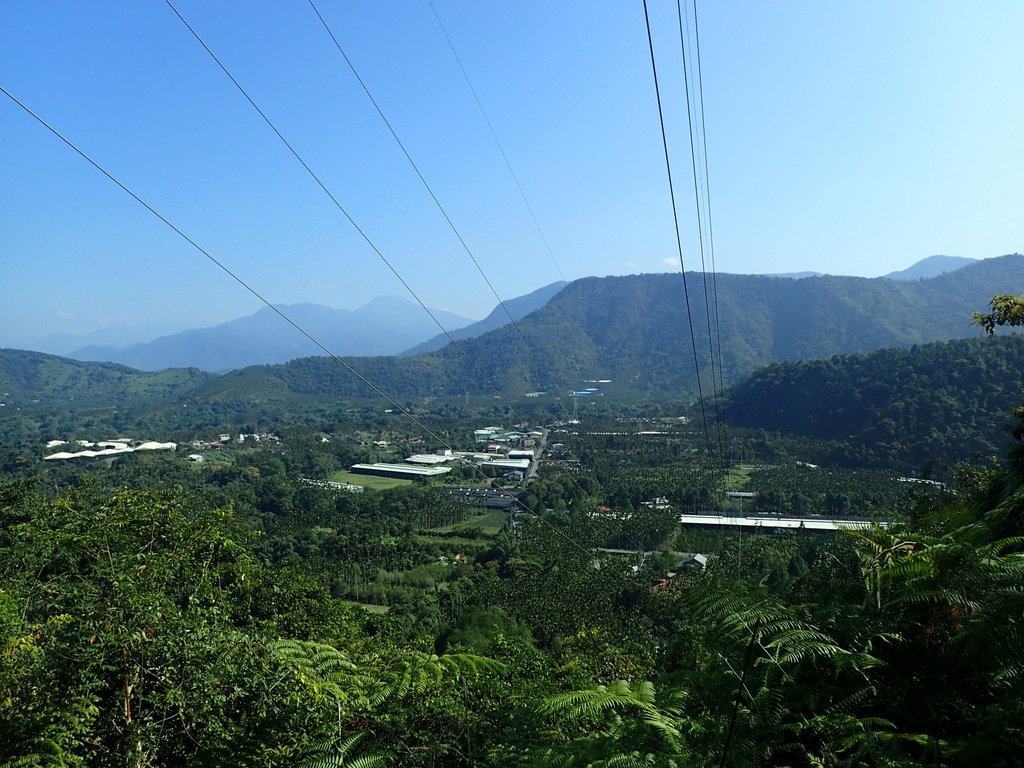 PA040351.JPG - 魚池  過坑山登山步道