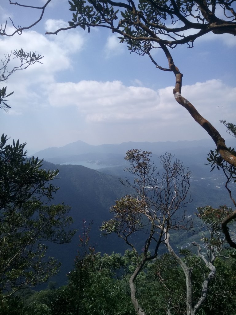 DSC_4081.JPG - 魚池  大尖山登山步道