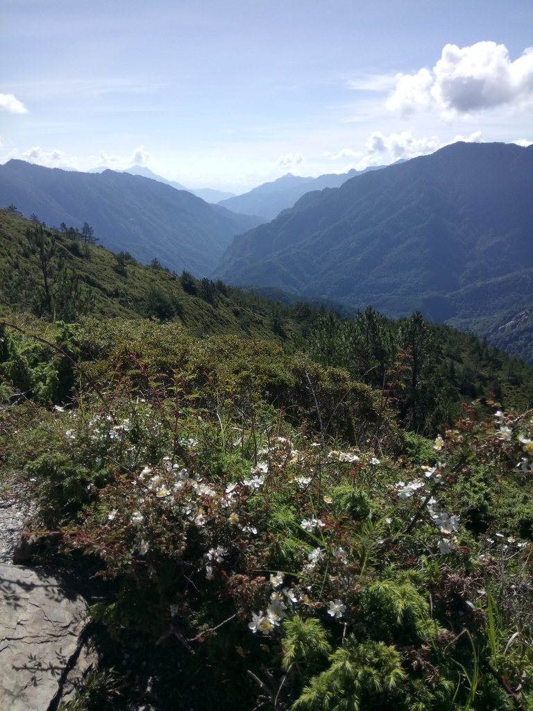 DSC_5333.JPG - 合歡山  北峰之美  (上)