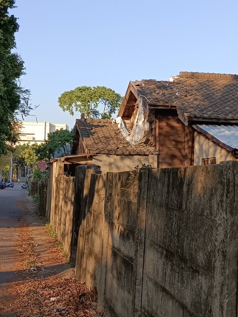 IMG20210221165856.jpg - 豐原  逸仙莊  日式宿舍建築群