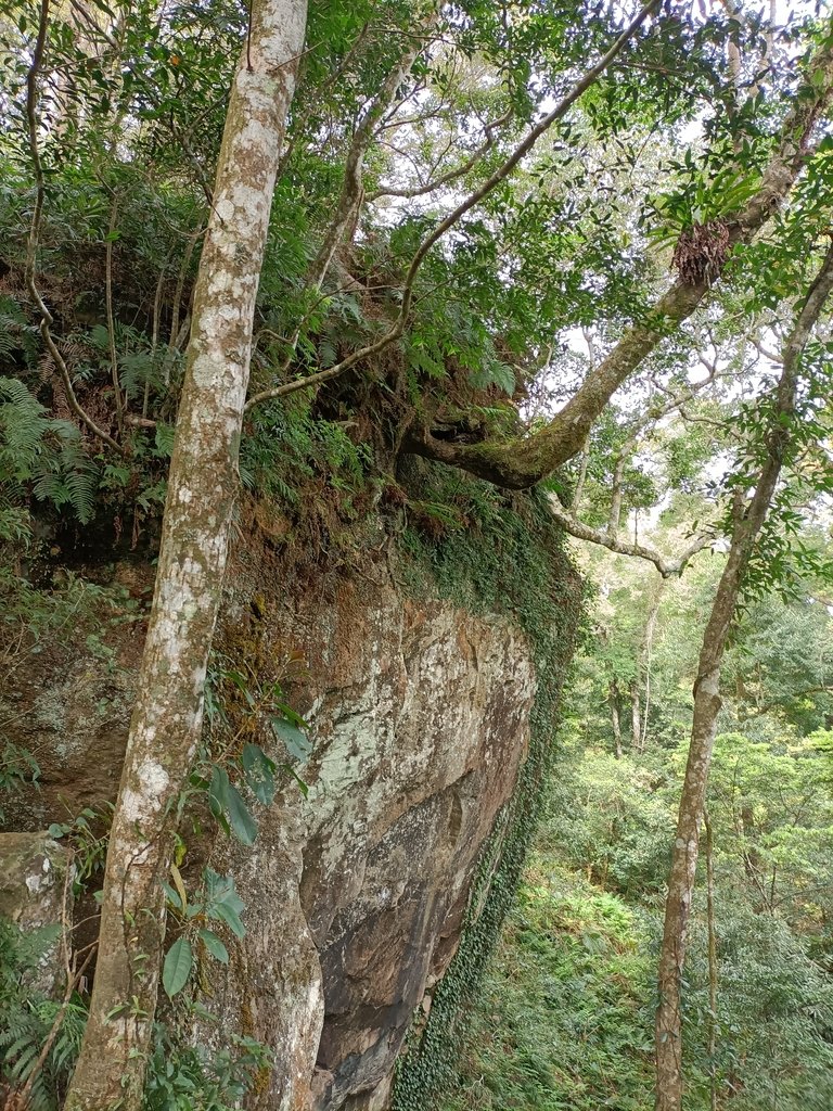 IMG20210403093306.jpg - 五峰  鵝公髻山登山步道  (01)