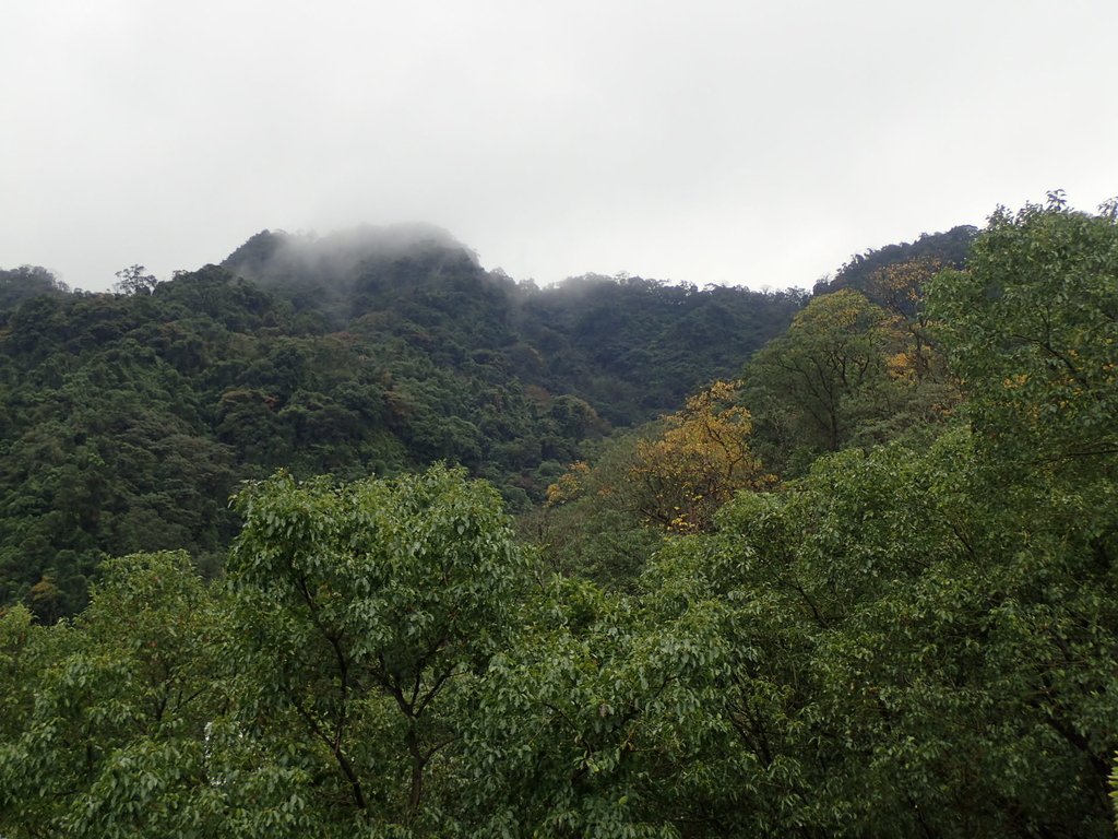 P1062090.JPG - 再訪  土城  承天禪寺