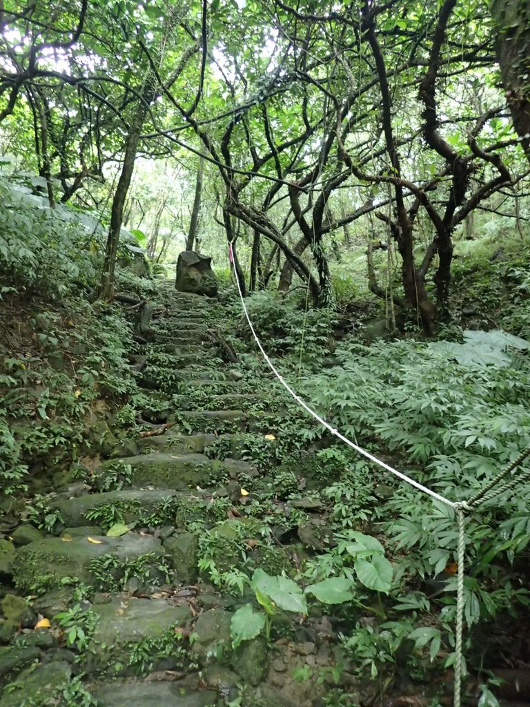 P1274363.JPG - 瑞芳  燦光寮古道初探