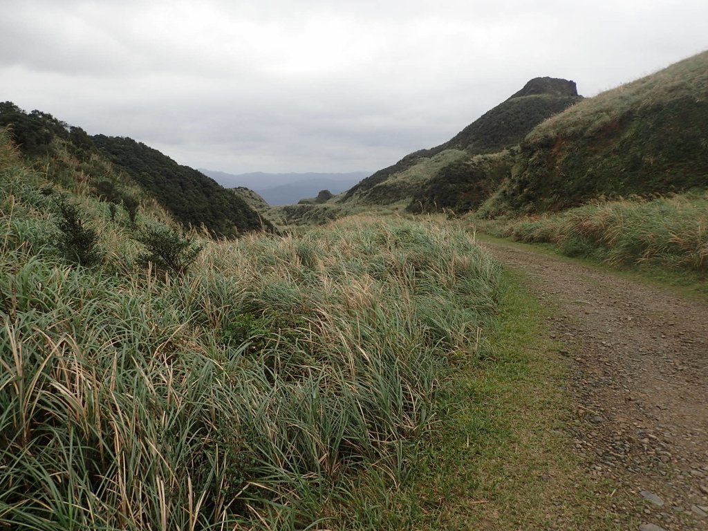 P1274350.JPG - 瑞芳  燦光寮古道初探