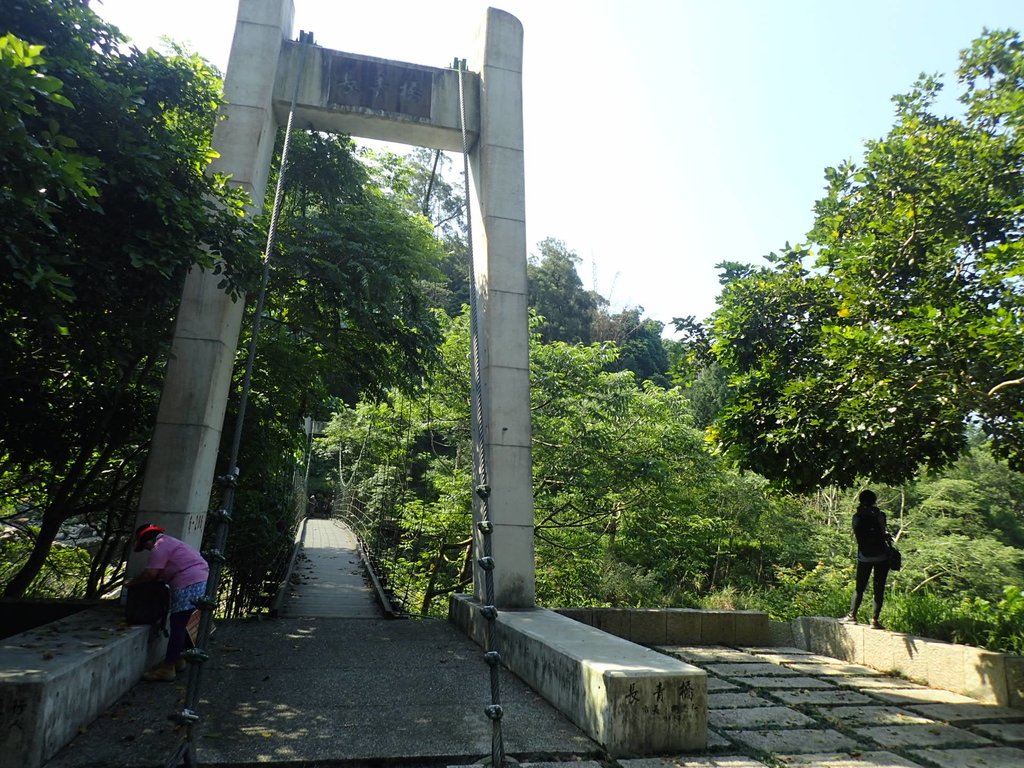 P5117134.JPG - 大坑四號步道  頭嵙山