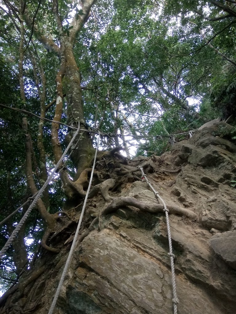 DSC_4773.JPG - 獅潭  仙山