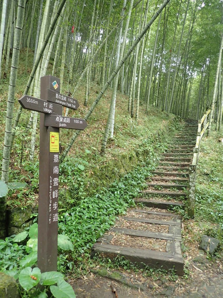 PA231668.JPG - 石壁山  嘉南雲峰步道