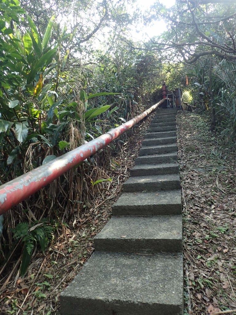 PB179531.JPG - 基隆  球子山(火號山)步道