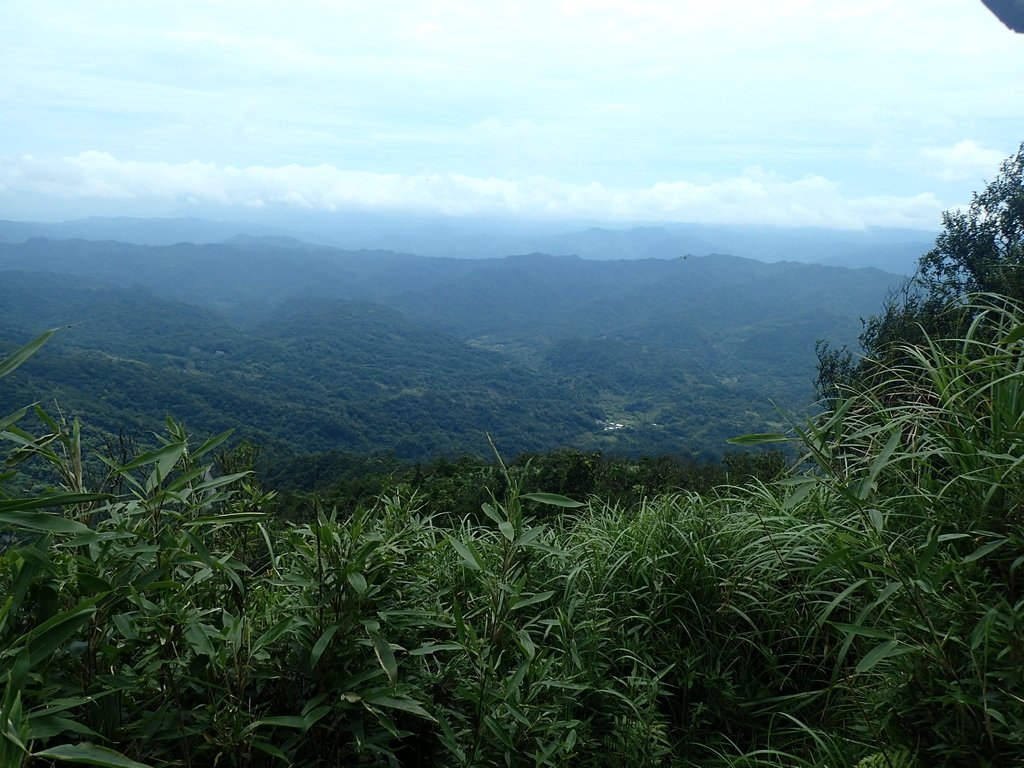 P7203845.JPG - 瑞芳  五分山登山步道