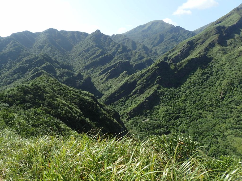 PA104821.JPG - 秋晴  南子吝山  登龍尾坪