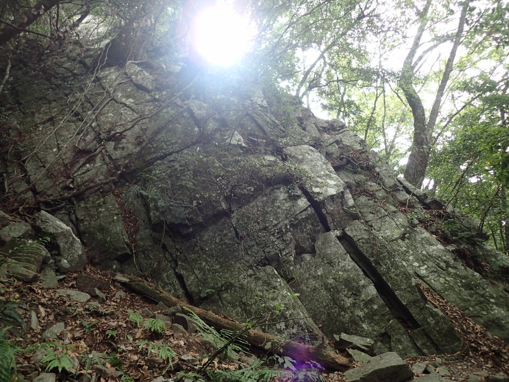 P5012284.JPG - 谷關七雄之  波津加山