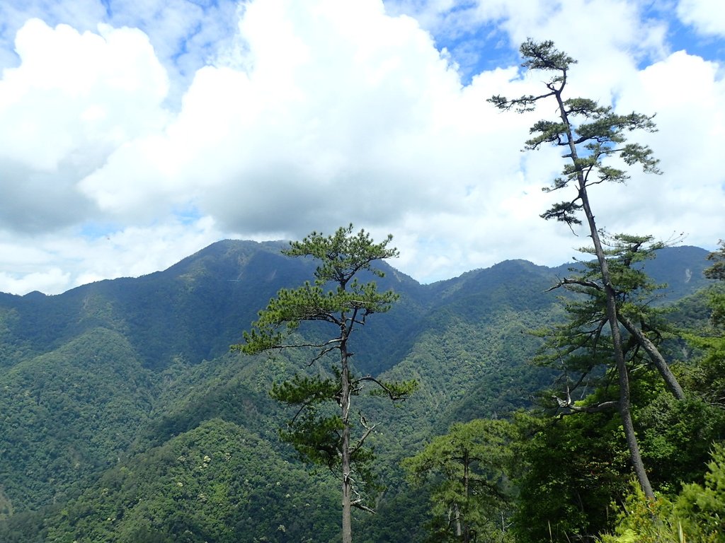 P5012344.JPG - 谷關七雄之  波津加山