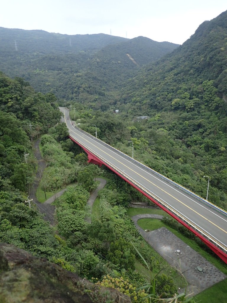 P3160186.JPG - 汐止  金面山(金明山)  稜線步道