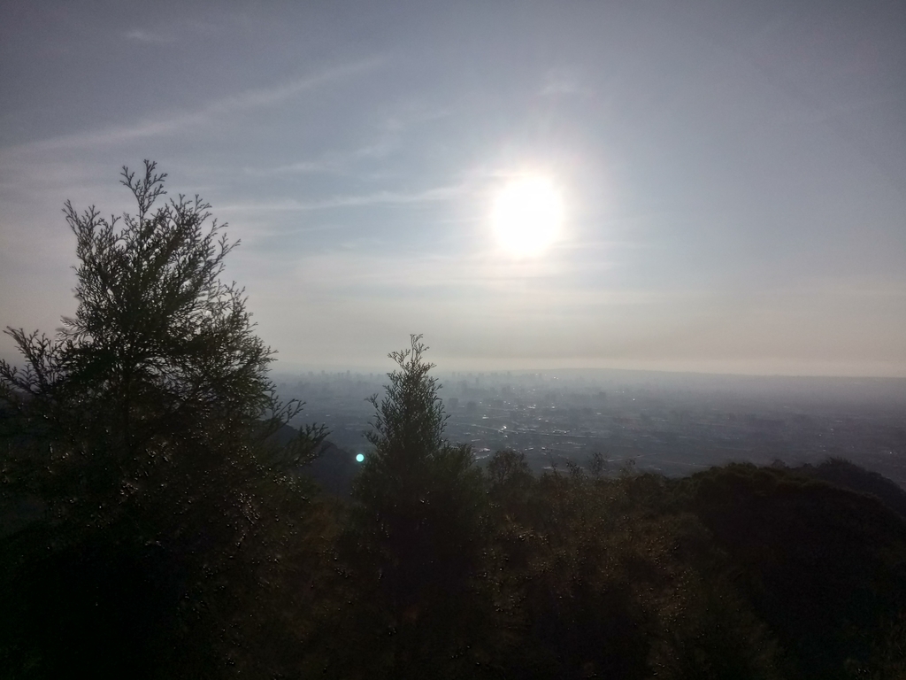 DSC_0706.JPG - 潭子 聚興山  新田登山步道