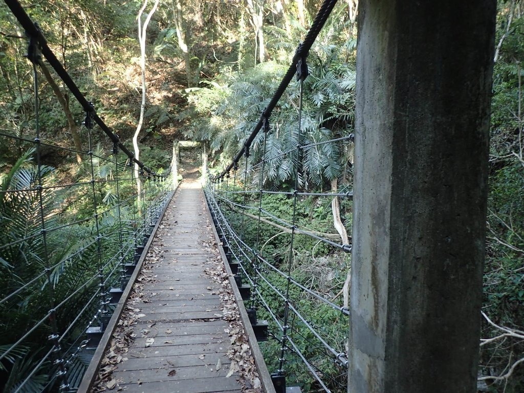 P3167117.JPG - 谷關  德芙蘭步道