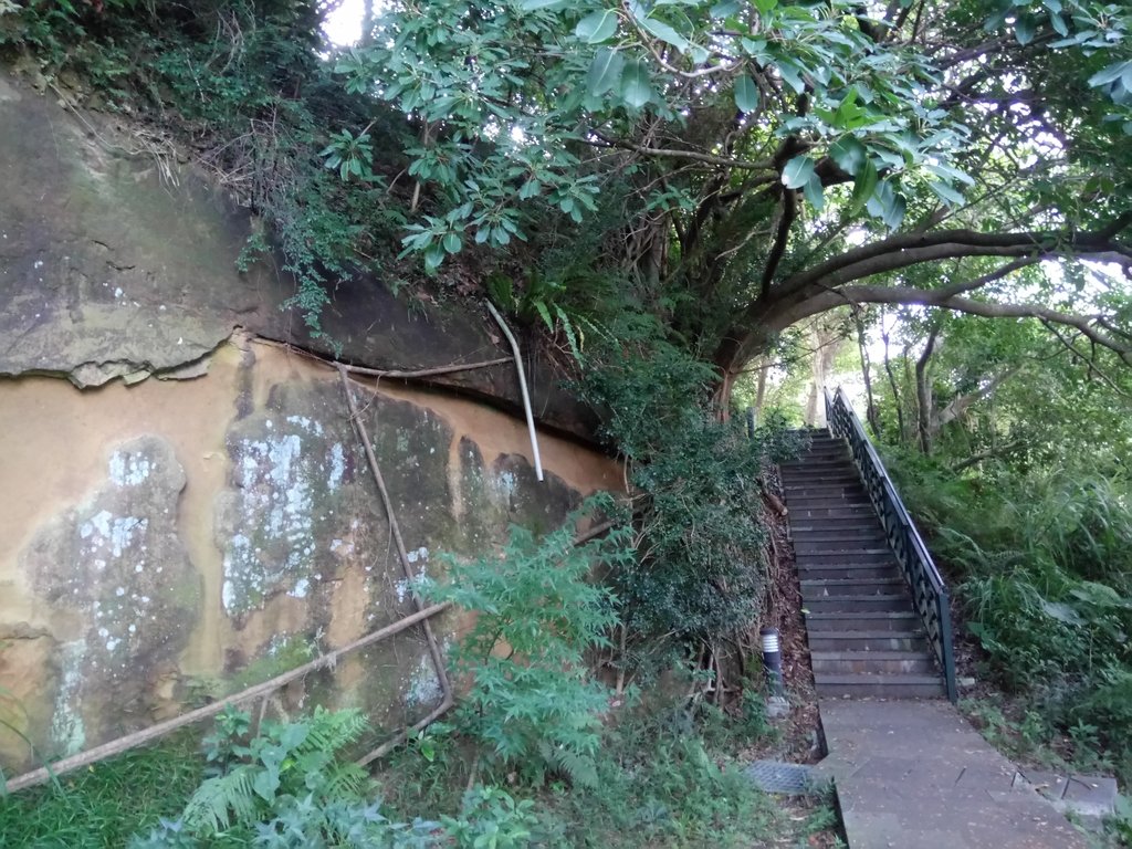 DSC_2032.JPG - 新店  碧潭  和美山登山步道