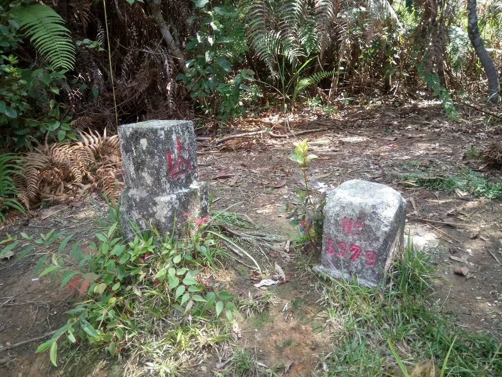 DSC_4087.JPG - 魚池  大尖山登山步道