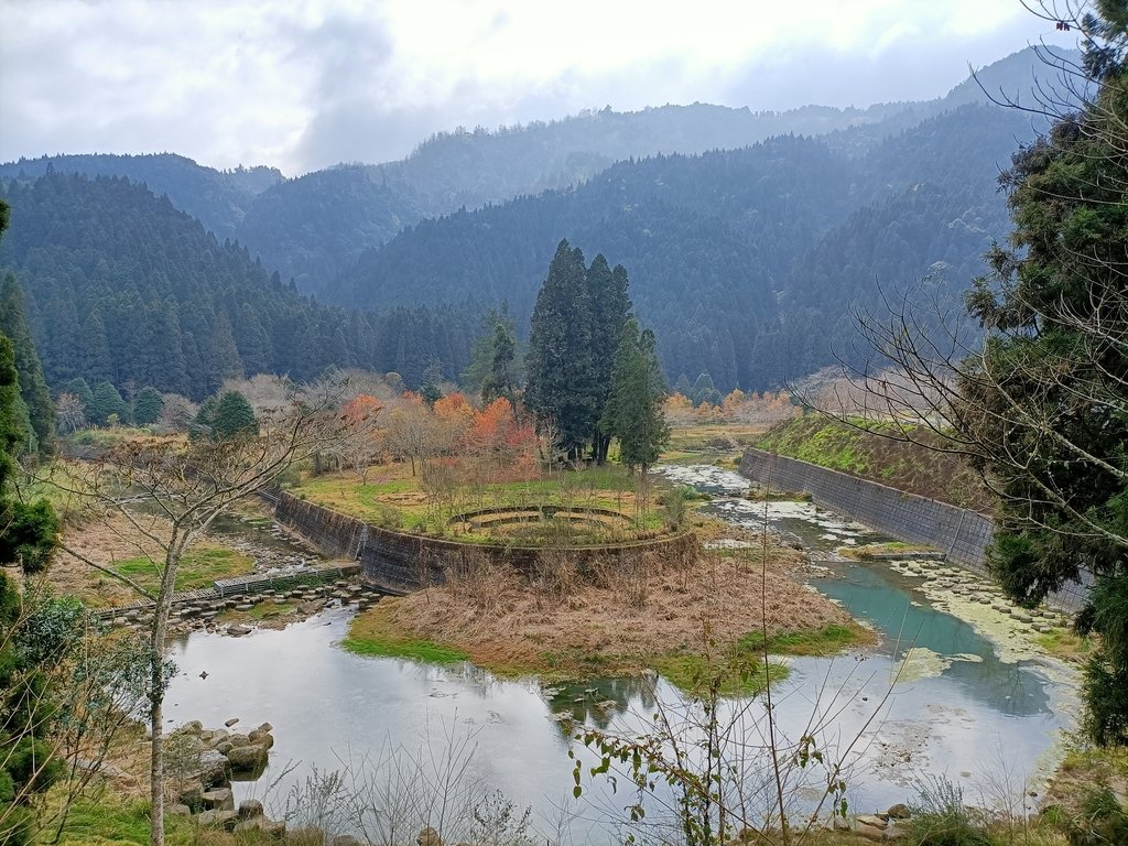 IMG20210205132254.jpg - 竹山  杉林溪森林遊樂園  路過