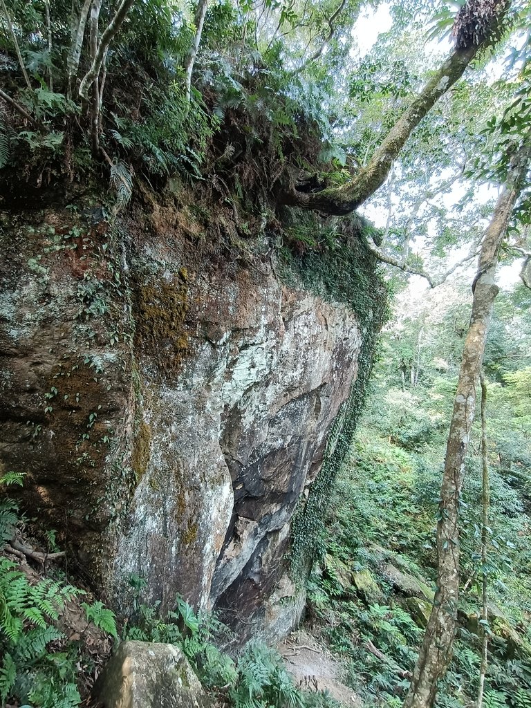 IMG20210403093333.jpg - 五峰  鵝公髻山登山步道  (01)