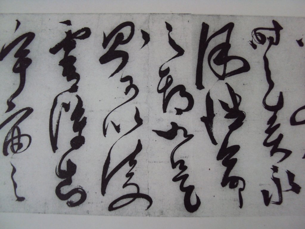 DSC00014.JPG - 陳淳的草書作品