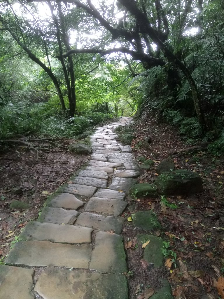 DSC_1749.JPG - 土城  天上山  登山步道