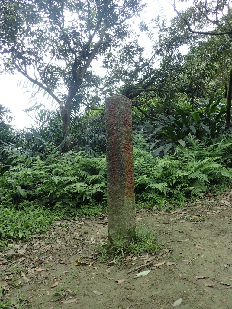 P4143534.JPG - 基隆  五坑山  總督嶺步道