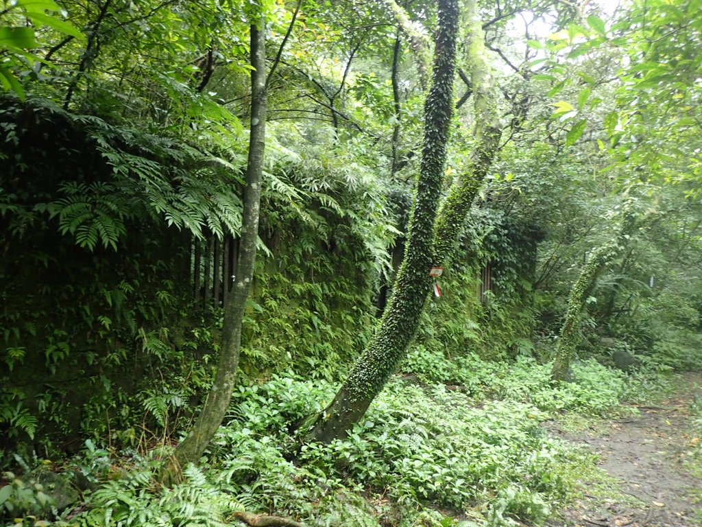 P1274396.JPG - 瑞芳  燦光寮古道初探