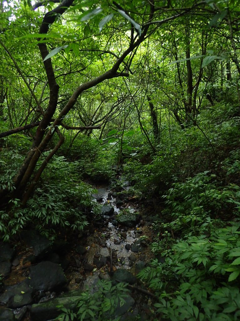 P1274367.JPG - 瑞芳  燦光寮古道初探