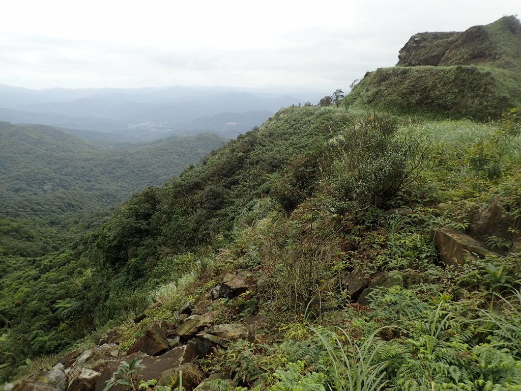 P1274352.JPG - 瑞芳  燦光寮古道初探