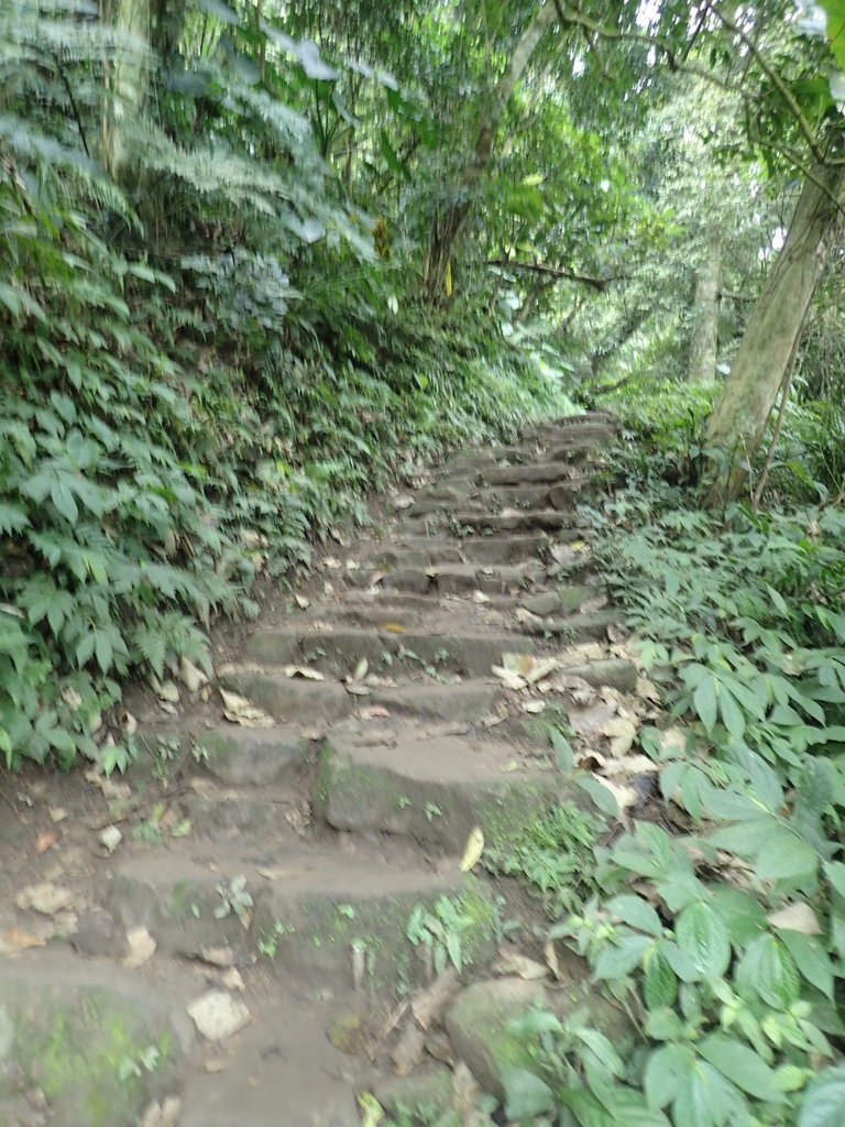 P2107485.JPG - 大溪  溪洲山登山步道